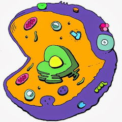 Cell EXPLORERS