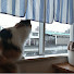 7KEWE_LBBlU-channel-avatar-猫活のお部屋【移動中】