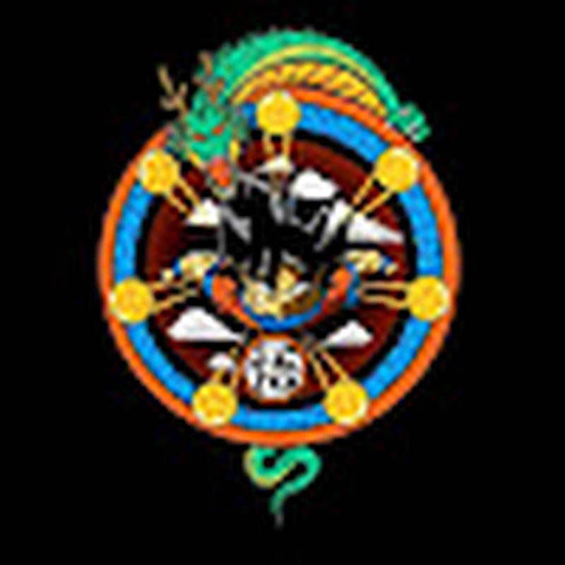 Hire VIRAL CRICKET 🏏 SHORTS  — Sports & Outdoors YouTube creator for sponsorships