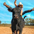 lwY39LOl0ks-channel-avatar-Rodeo Time