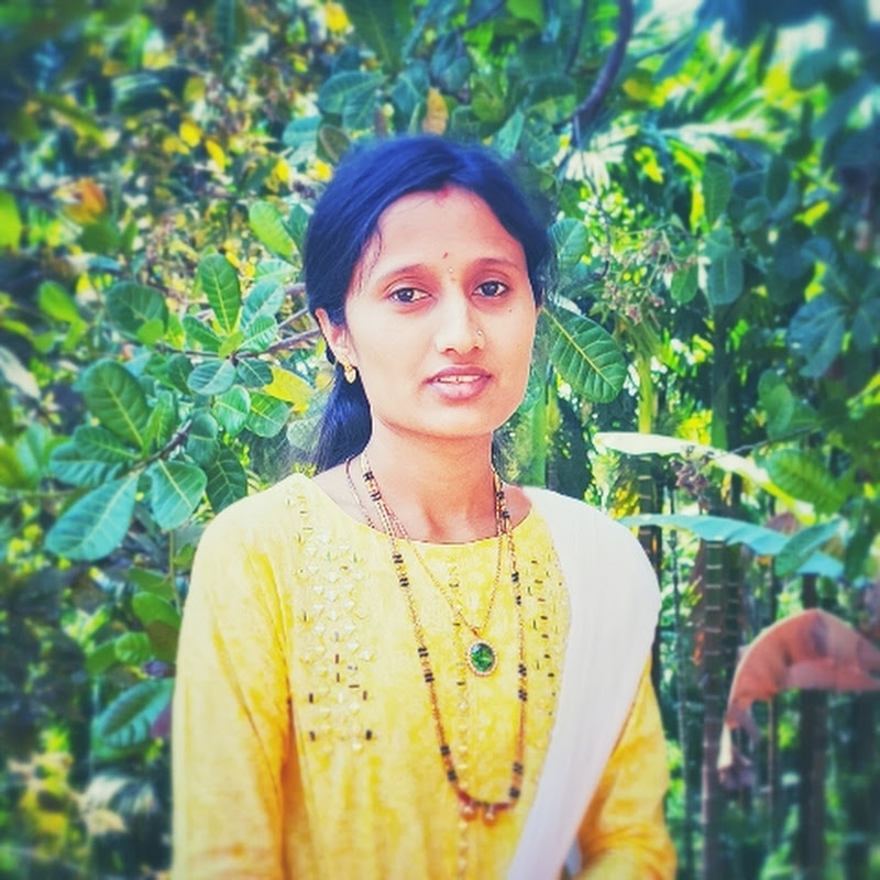 Vidya Kannada Vlogs
