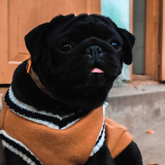 Pug Gyi