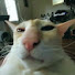 Channel Image