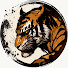 XKt3qTMSogA-channel-avatar-MishimaComplex