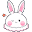 メンバー(1 年)