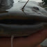 4ycdhohvtvg-channel-avatar-AllTimeAngling