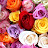 @منهاللهمحمودعبداللهبلتك
