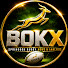 2nXT1tLfFqQ-channel-avatar-BOKX