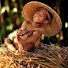 WI_MieUE3rc-channel-avatar-RVB SUNDA HEREY