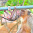Newborn Babie Monkey