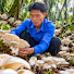 uazPZlepWt8-channel-avatar-Harvest Acre Life
