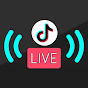 TikTok Live Punishment logo