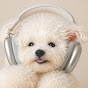 aqtYZht951g-channel-avatar-melovien