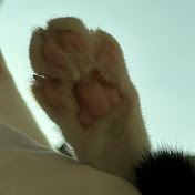 이동휘