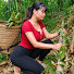 CbhHTXggrdM-channel-avatar-Senh Forest Farm