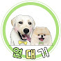 연대기 yeondaegi