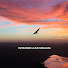 Rn64APDkvtI-channel-avatar-Ruteando la Naturaleza