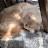@lauriahonen2892 Avatar