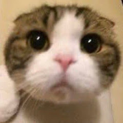 ん
