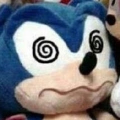 Fast The Sonic