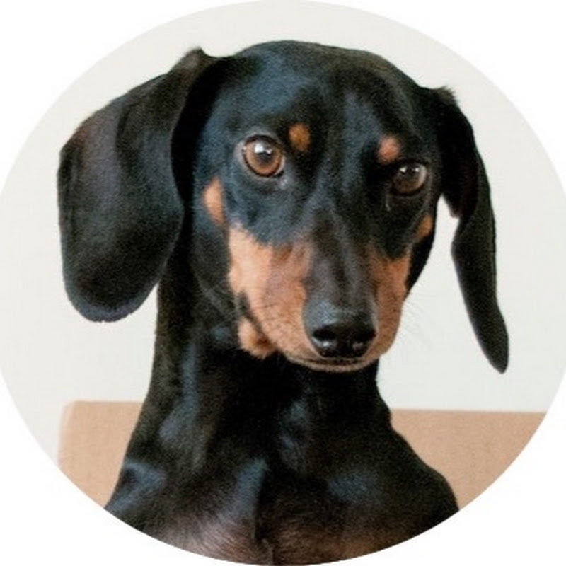 UnboxingMyBuys icon
