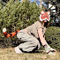 wRoore_Cviw-channel-avatar-Tiger