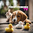 @FurryFriendsTVlk