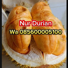 Nur Durian avatar