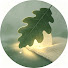 4nw6FHq9E8k-channel-avatar-Leafy Rain Nook