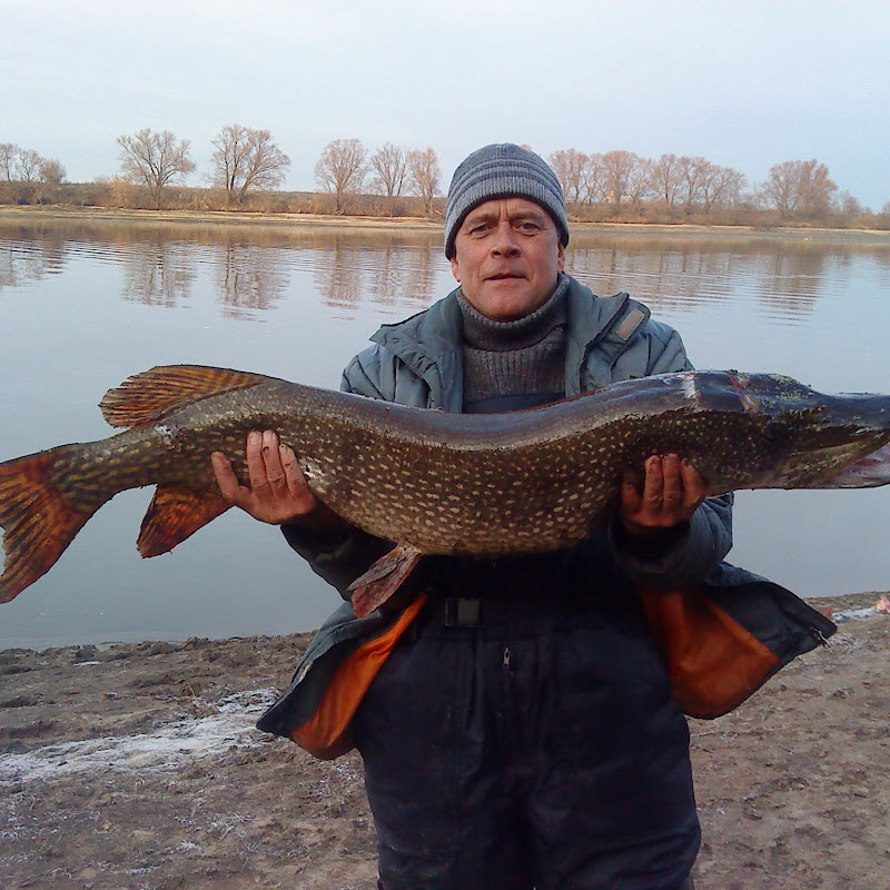 Василий Нестеров Logo