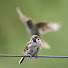 6AvFWej-8rw-channel-avatar-Paul Lockwood Photography