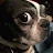 @michaelGarvey6587 Avatar