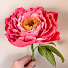 dNLHR7rn20o-channel-avatar-Ta Muchly Paper Blooms