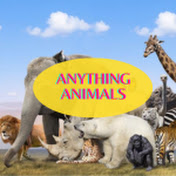 Anything Animals