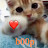 @sw00p Avatar