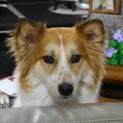 サブカル尼崎でお世話になっております