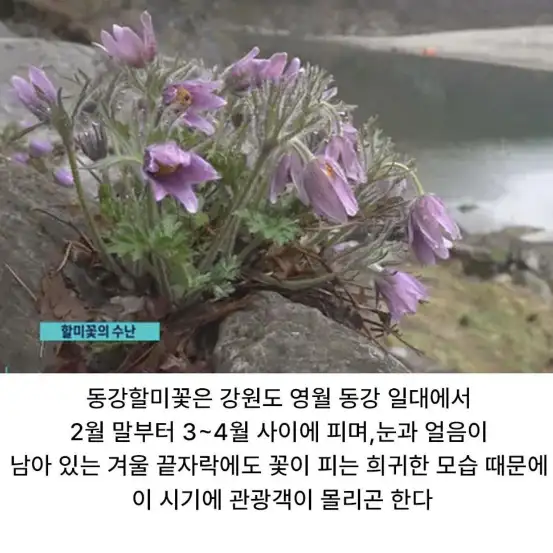 BlockNote image