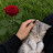 @البراءعلي-ز4ق