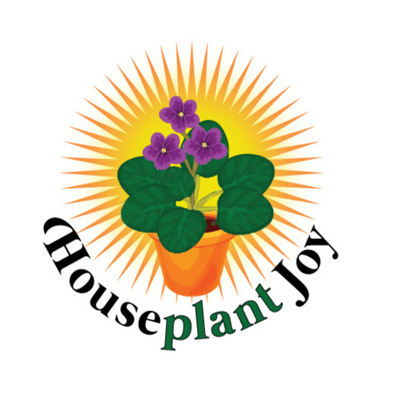 Houseplant Joy