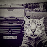 Автор