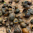 8tkv8f7guvU-channel-avatar-Wildlife / Wild Animals