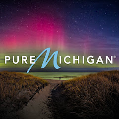 Pure Michigan net worth