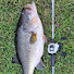 pn_6l2pE4tw-channel-avatar-Bass catcher 3000