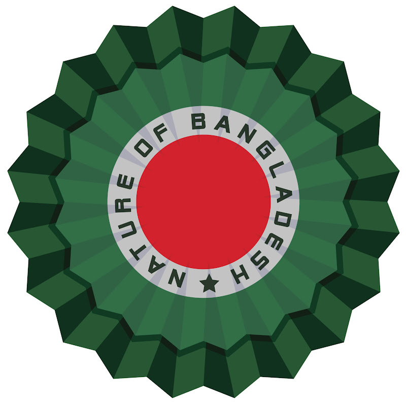 DrishyoReel - দৃশ্যরিল