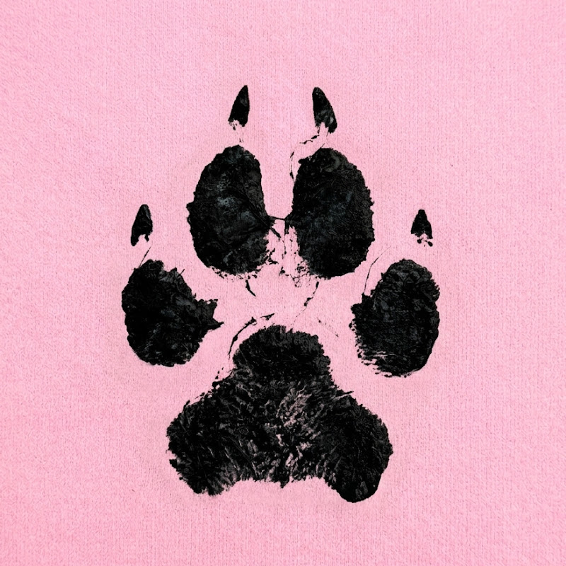 PawSnaps
