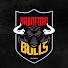 RSaCfkl4ICg-channel-avatar-BullsTV