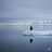 @lonelypenguin-1