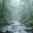 MEZevyEjyoU-channel-avatar-Relaxing Rain Sounds Nature
