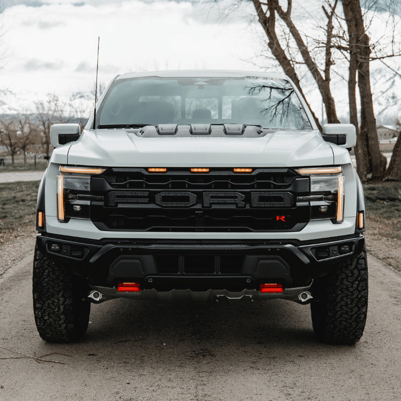 RaptorsOfInsta