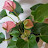 @소연짱-g4t